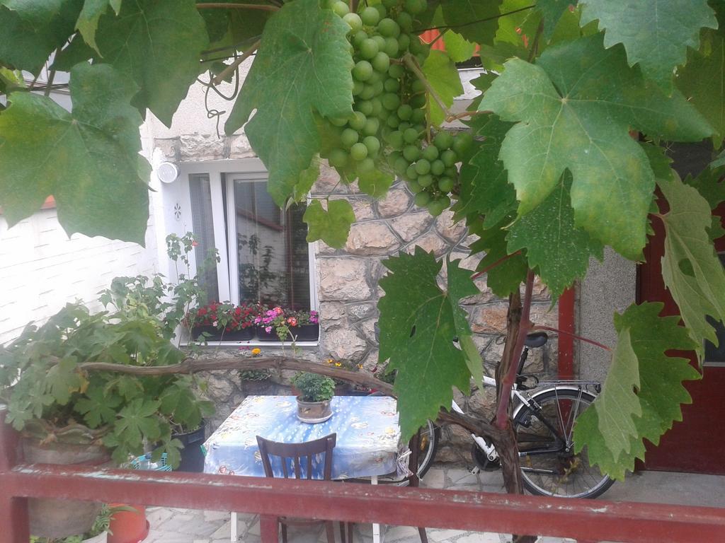 Hotel House Nativa Ohrid Exterior foto